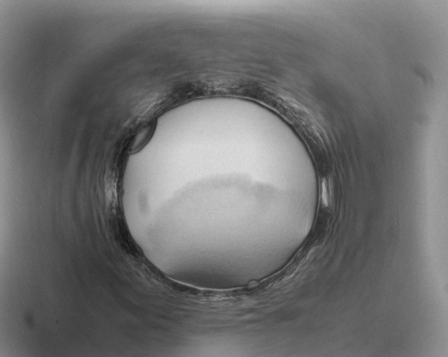 X0000116681155201001041143