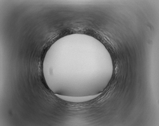 X0000116681156201001041143