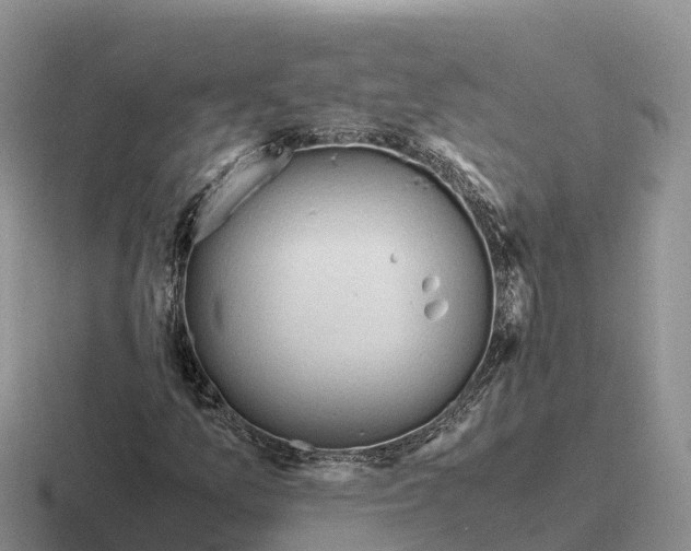 X0000116681157201001041143