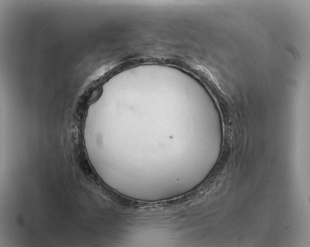 X0000116681159201001041143