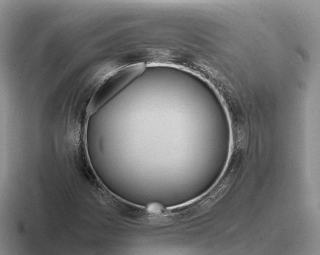 X0000116681161201001041143