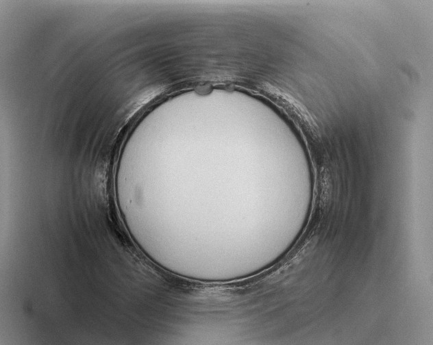 X0000116681162201001041143