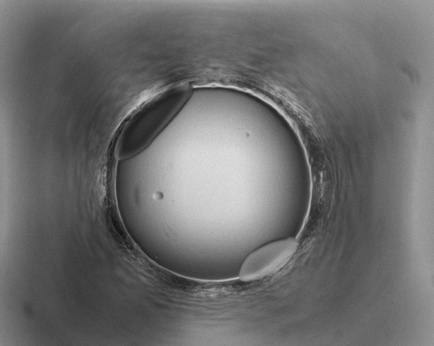 X0000116681165201001041143