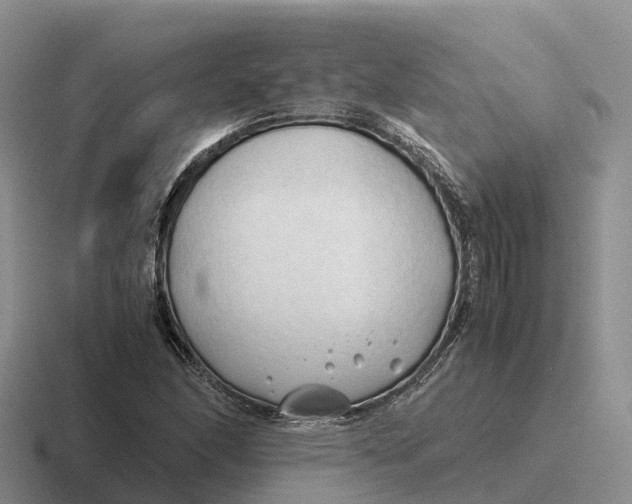 X0000116681166201001041143