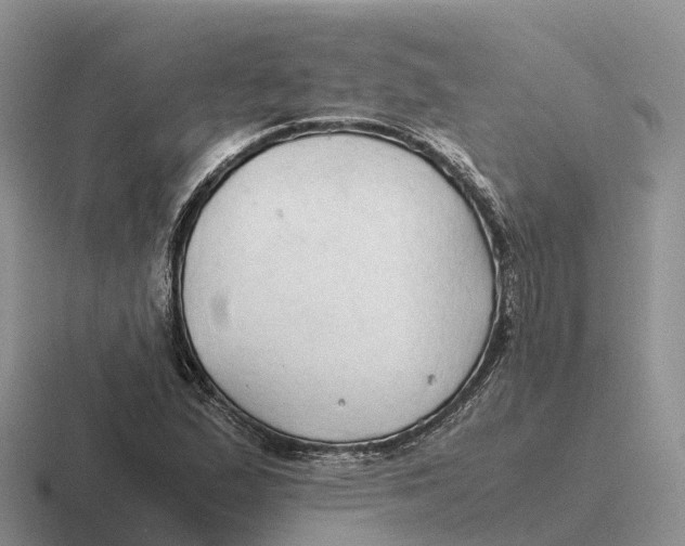 X0000116681167201001041143