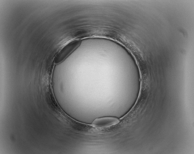 X0000116681169201001041143