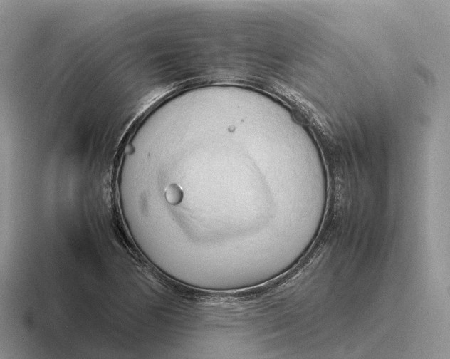 X0000116681170201001041143