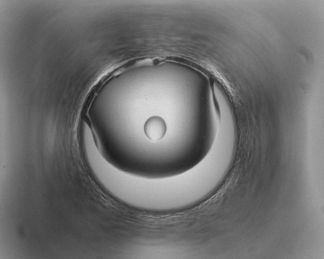 X0000116681173201001041143