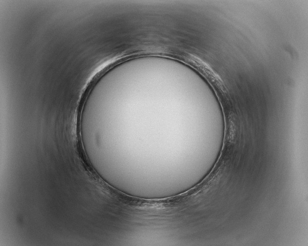 X0000116681174201001041143