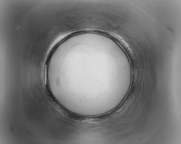 X0000116681175201001041143