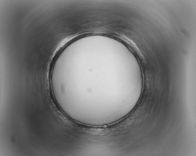 X0000116681176201001041143