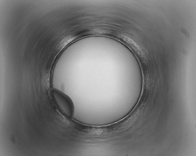 X0000116681177201001041143