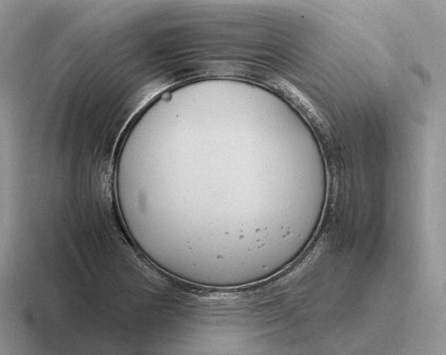 X0000116681178201001041143