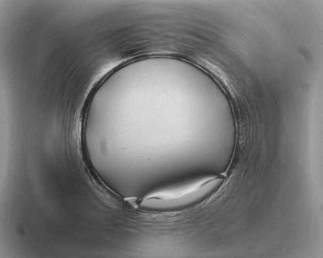 X0000116681179201001041143