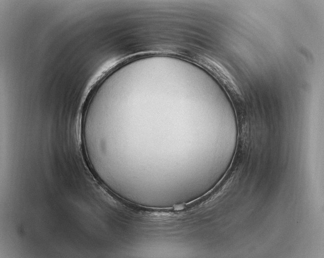 X0000116681180201001041143