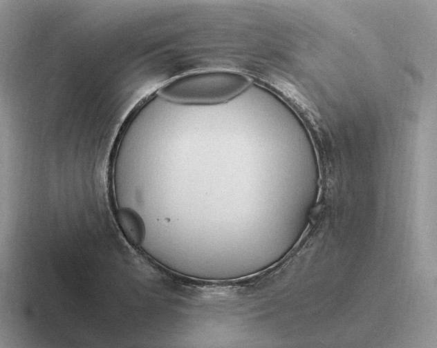 X0000116681181201001041143