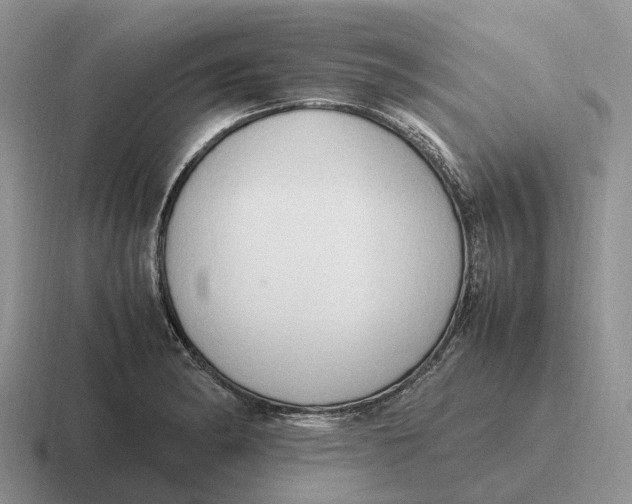 X0000116681182201001041143