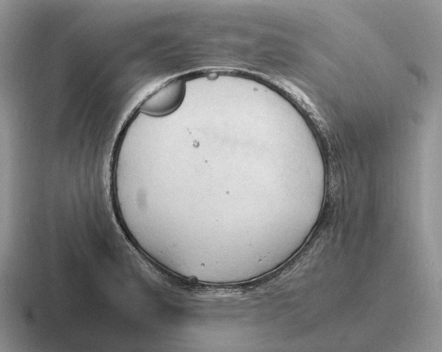 X0000116681183201001041143