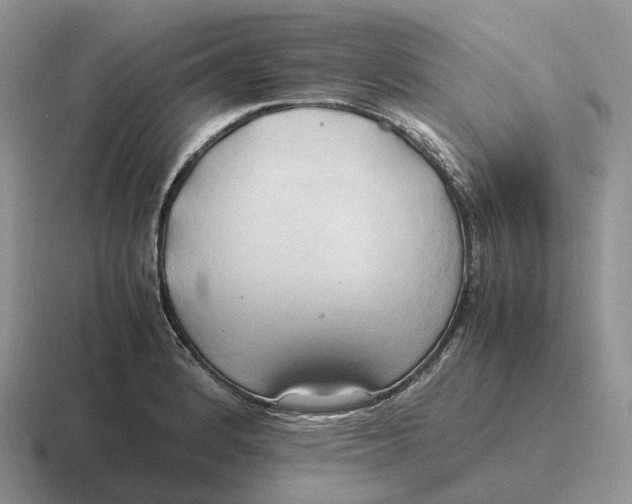 X0000116681184201001041143