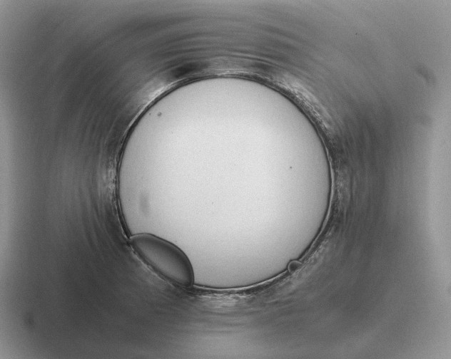 X0000116681185201001041143