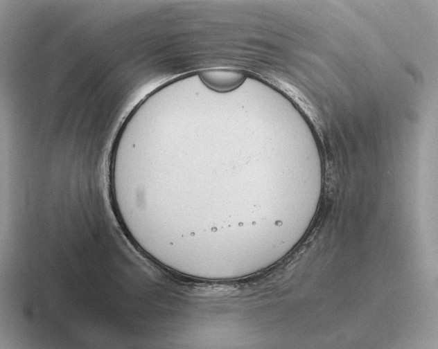 X0000116681187201001041143