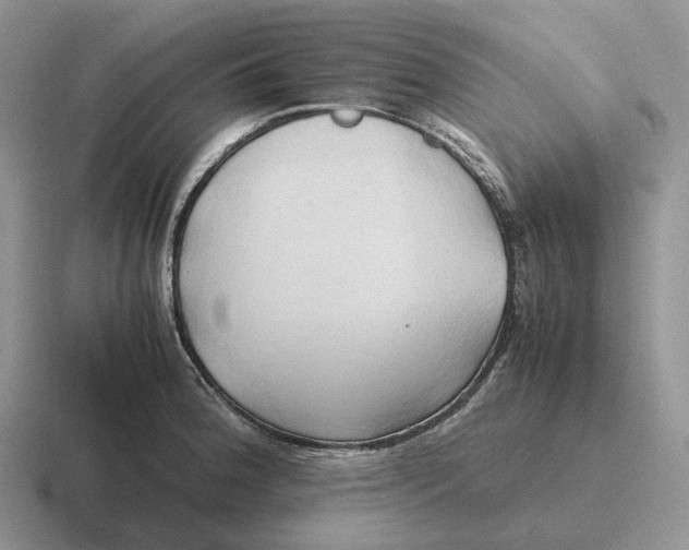 X0000116681188201001041143