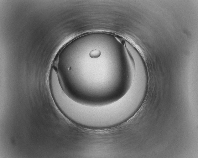 X0000116681189201001041143