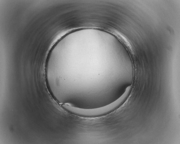 X0000116681192201001041143