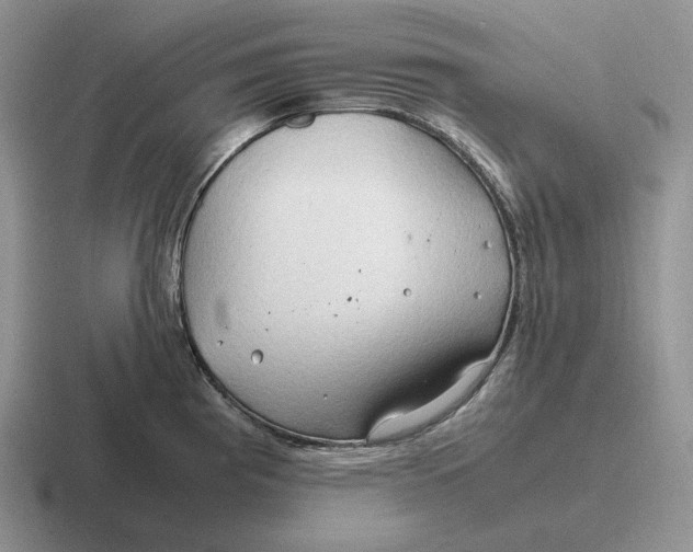 X0000116681193201001041143