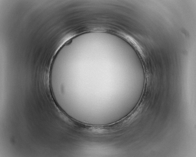 X0000116681194201001041143