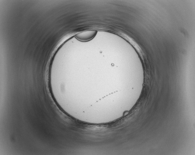 X0000116681195201001041143