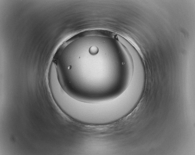 X0000116681197201001041143