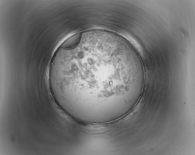 X0000116681198201001041143