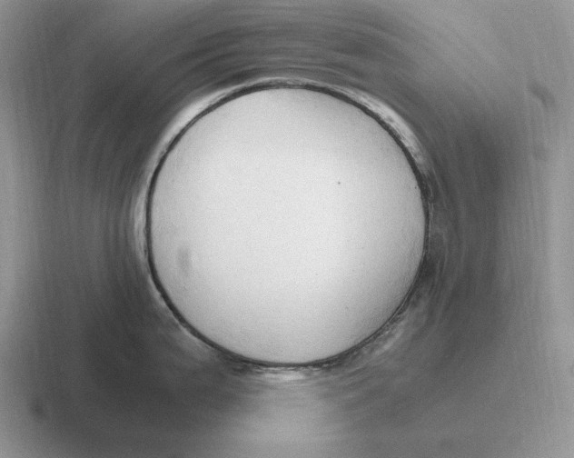 X0000116681199201001041143