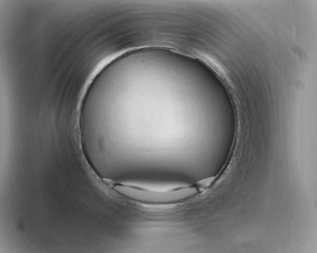 X0000116681200201001041142