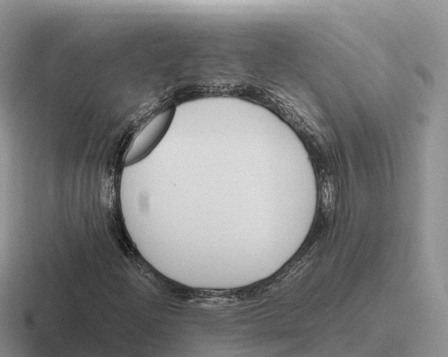 X0000116681204201001041142