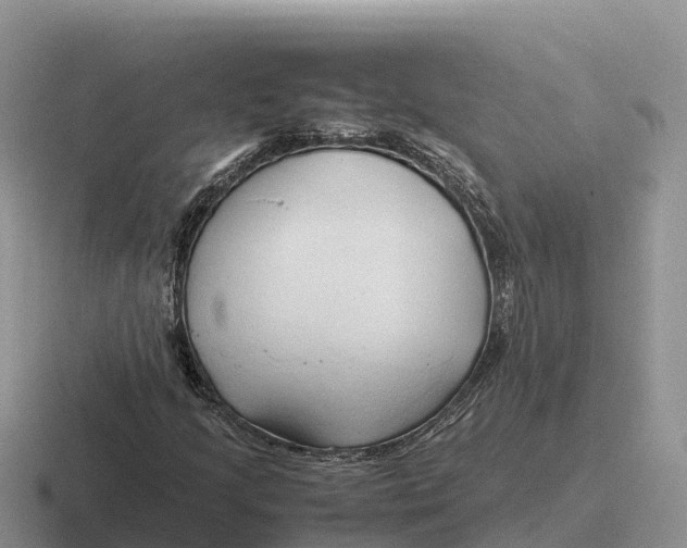 X0000116681205201001041142