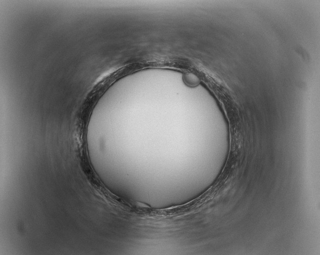 X0000116681206201001041142