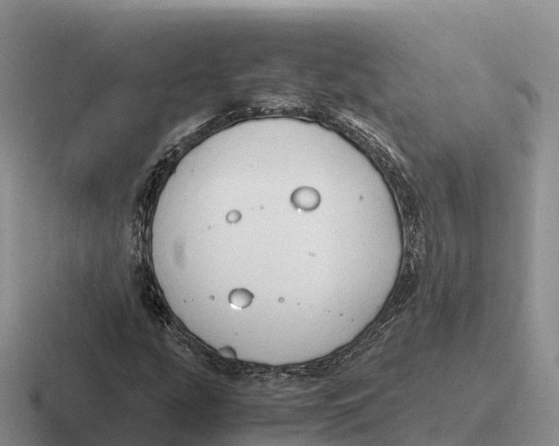 X0000116681207201001041142