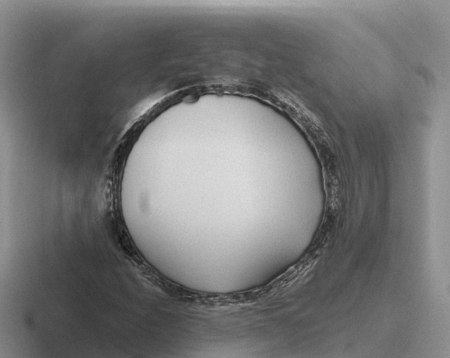 X0000116681208201001041142