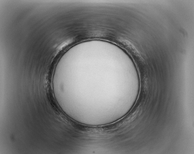 X0000116681210201001041142