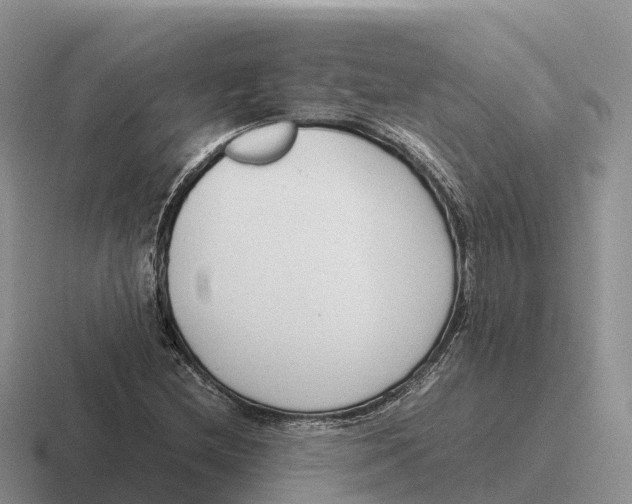 X0000116681212201001041142