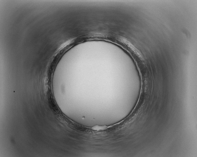 X0000116681213201001041142