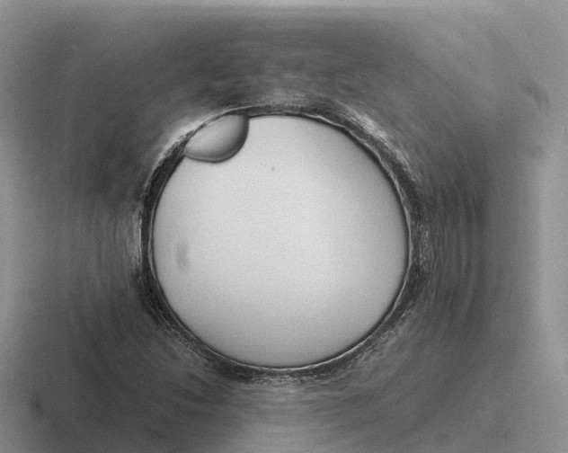 X0000116681214201001041142