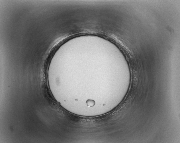 X0000116681215201001041142