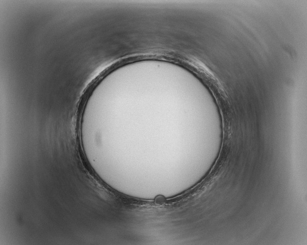 X0000116681216201001041142