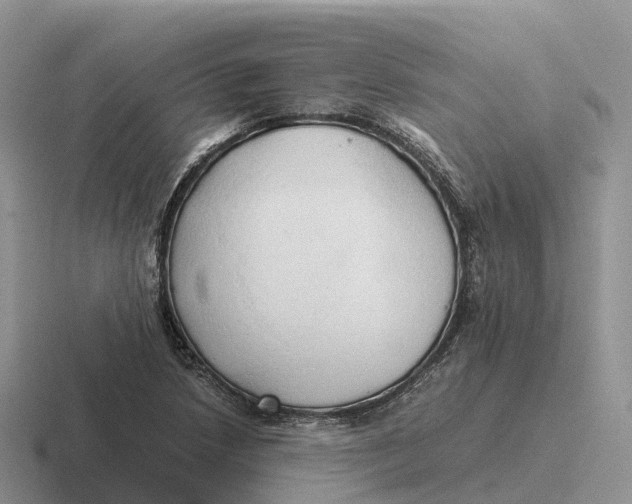 X0000116681218201001041142