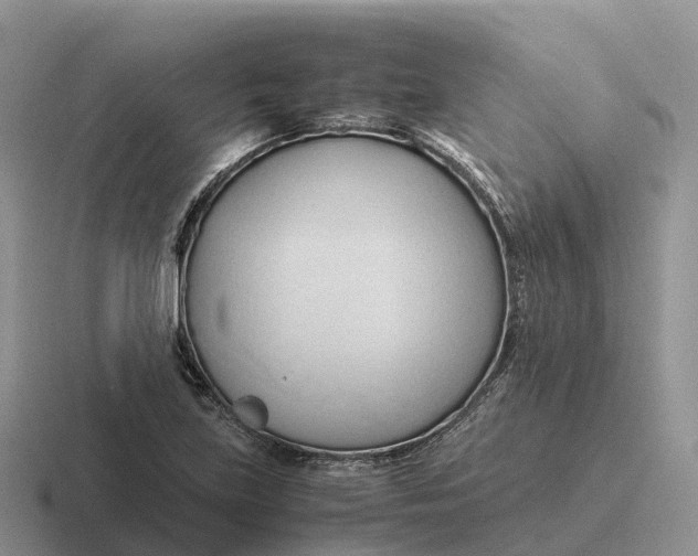 X0000116681219201001041142