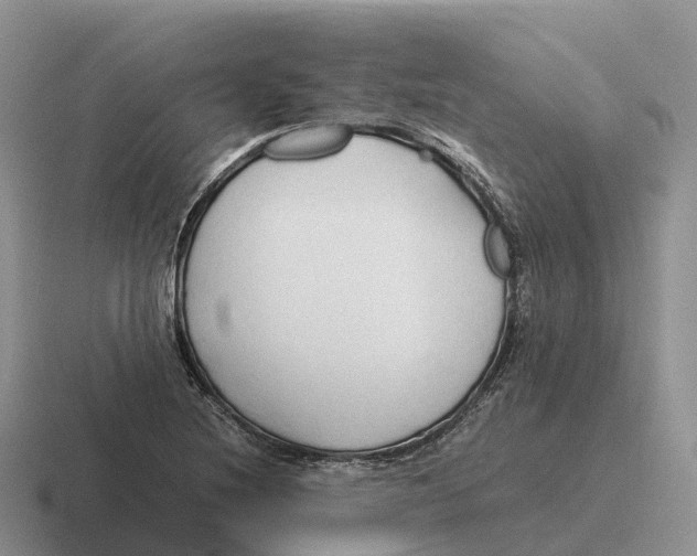 X0000116681220201001041142