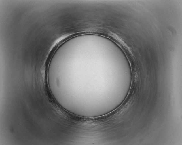 X0000116681222201001041142